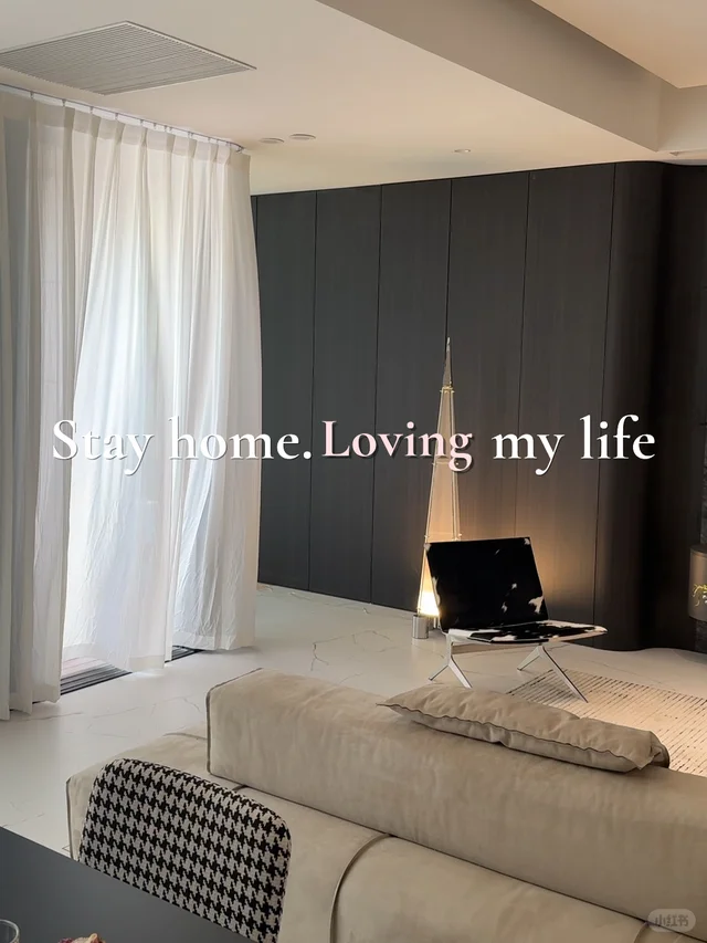 Living and Dining Vlog Case space case